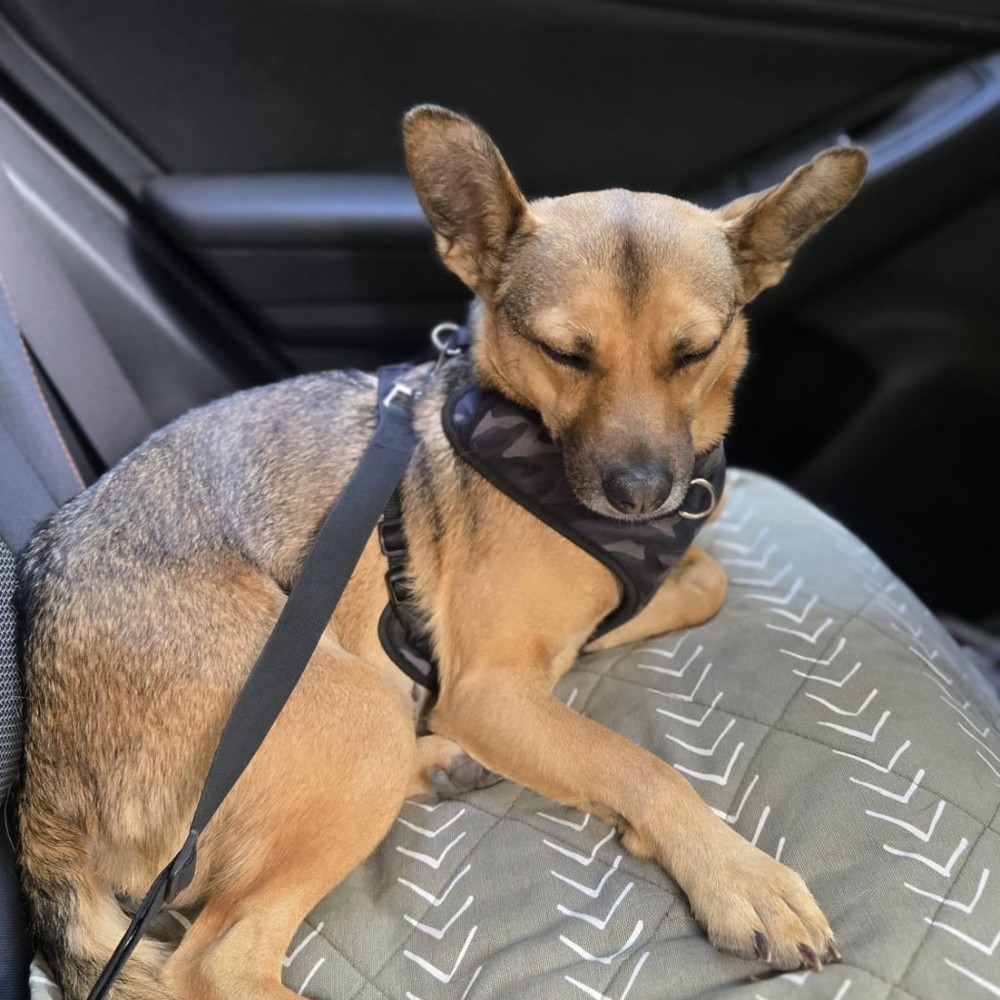 Meet your Posher, Tylynn